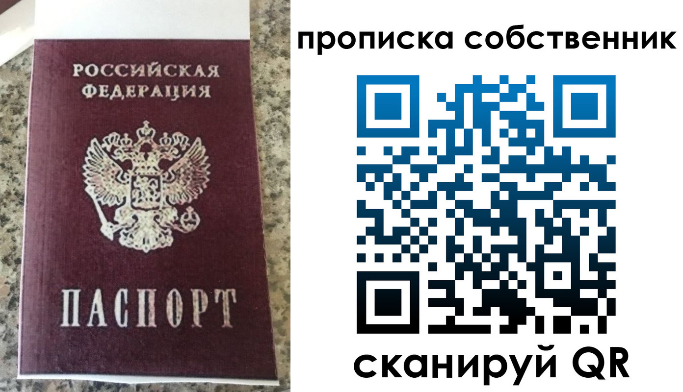 прописка для школы в Ржеве